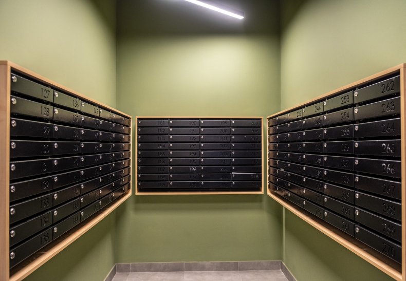 �� ����������, �. ������